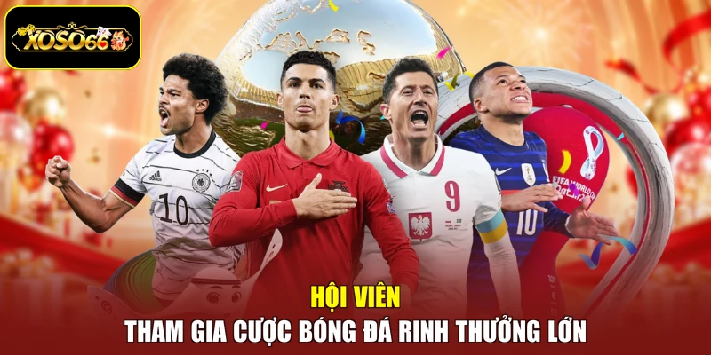 Hội viên tham gia cược bóng đá rinh thưởng lớn
