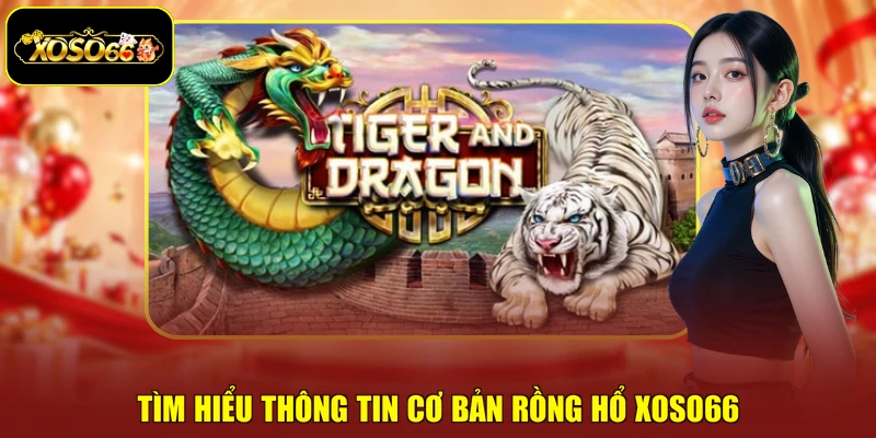 Tìm hiểu thông tin cơ bản Rồng Hổ Xoso66